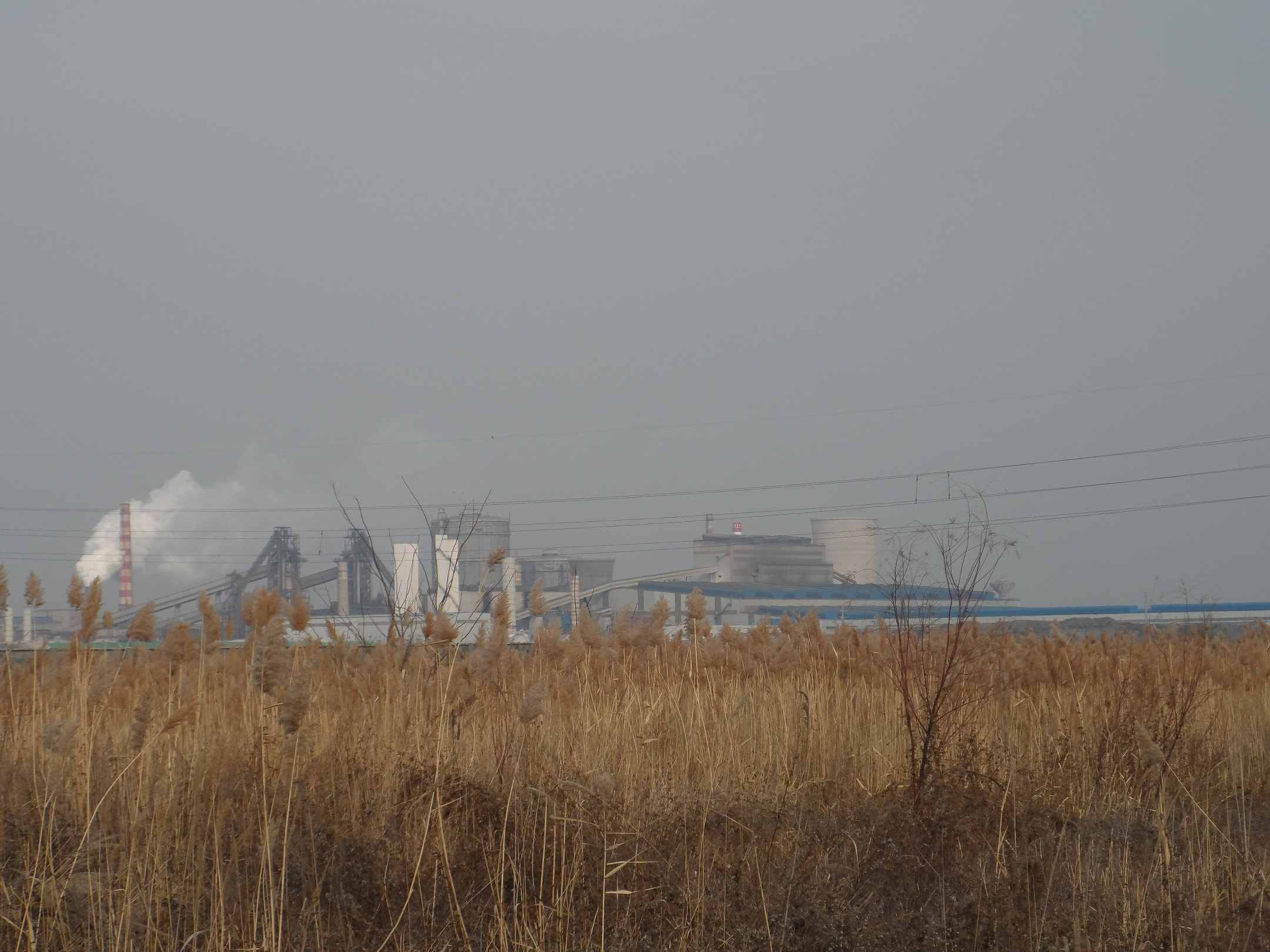 說明: E:\2013年未完成項(xiàng)目\百度云同步盤\2016年\（書）剛和石油（營(yíng)口）有限公司8萬噸潤(rùn)滑油脂加工項(xiàng)目2016.11.16\現(xiàn)場(chǎng)照片\SAM_7598.JPG