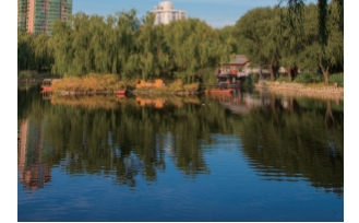 1731575724271686.jpg 1.jpg